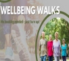 Image relating to Wellbeing Walk - Okewood Hill