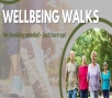 Image relating to Wellbeing Walk - Henfield - The Short One. The Haven & South Vie