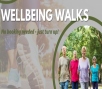 Image relating to Wellbeing Walk - Henfield - The Short One Tottington Woods